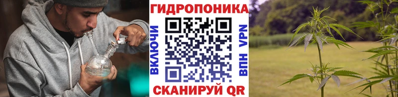 Бошки марихуана план  KRAKEN   Моршанск 